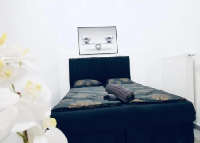 Lovely 2br With Modern Amenities Near Augarten *